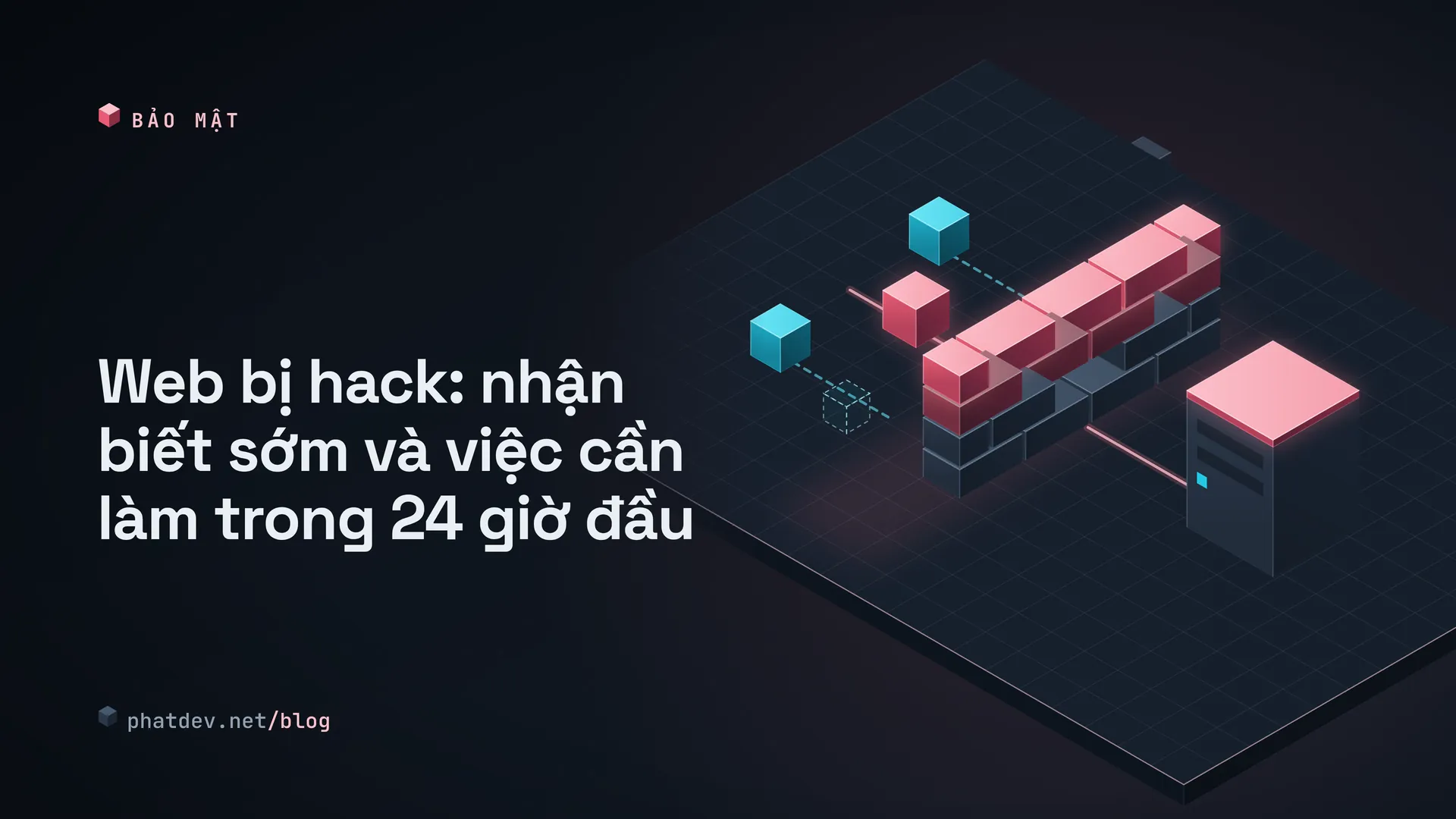 Web bị hack: nhận biết sớm và việc cần làm trong 24 giờ đầu