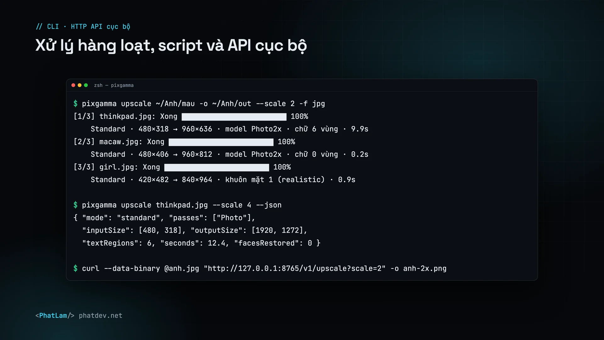 Cho lập trình viên: lệnh pixgamma xử lý hàng loạt, báo cáo JSON, API cục bộ