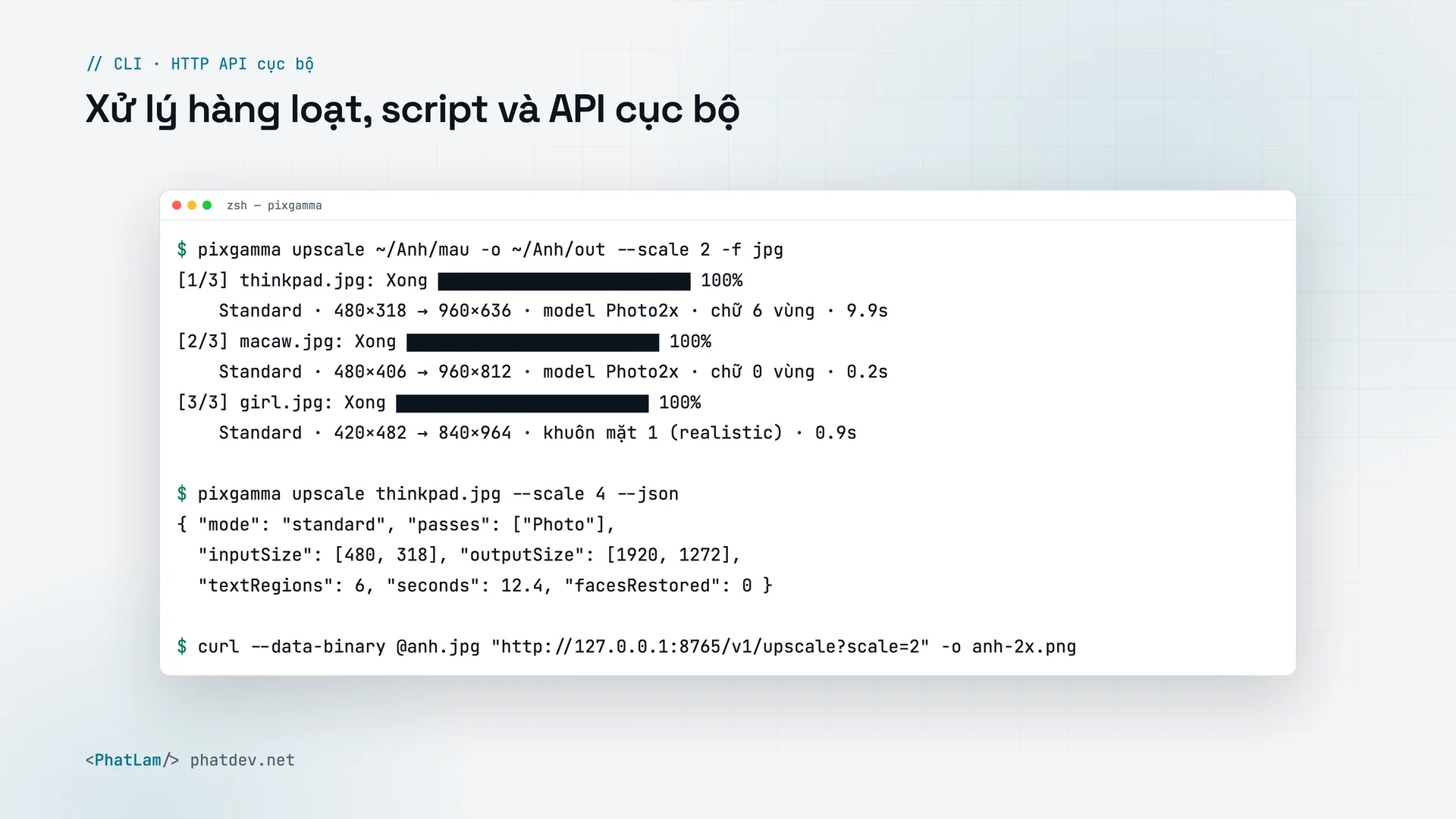 Cho lập trình viên: lệnh pixgamma xử lý hàng loạt, báo cáo JSON, API cục bộ
